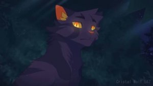 Частокол/Мап/Коты воители