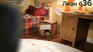 Ам ням rytp Collab #3