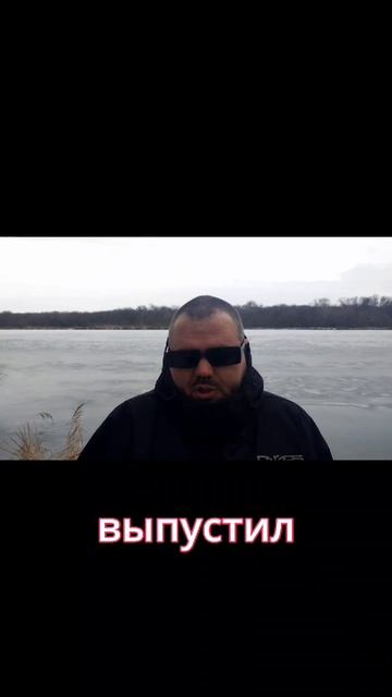 Погоны от Тайлера #tylerthecreator смотреть онлайн