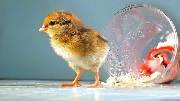 Я РОДИЛСЯ В СТАКАНЕ!