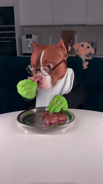 Как правильно кормить собаку? ПОСЛУШНО.РУ