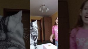 видео про почти всё 🤣🤣🤣