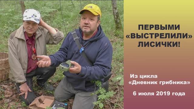 Первыми "выстрелили" лисички. Дневник грибника 6 июля 2019 года. смотреть онлайн