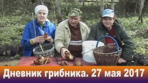 Строчки и шапочки. 27 мая 2017 г. Дневник грибника