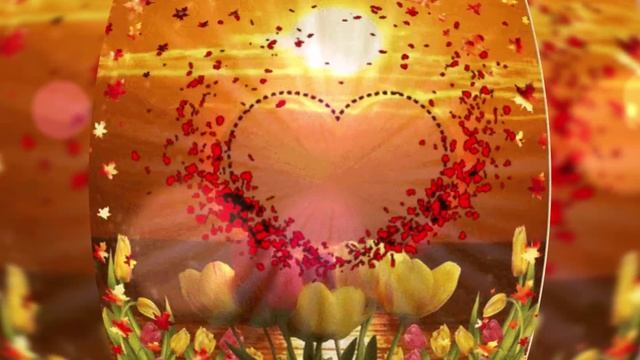 Ты мой свет смотреть онлайн