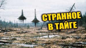 В 1959 году в районе Тунгуски обнаружили участок тайги с нарушенной гравитацией