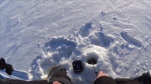 СУМАСШЕДШЕЕ ОТКРЫТИЕ СЕЗОНА 2026 / СУДАК НА БЛЕСНУ / водохранилище