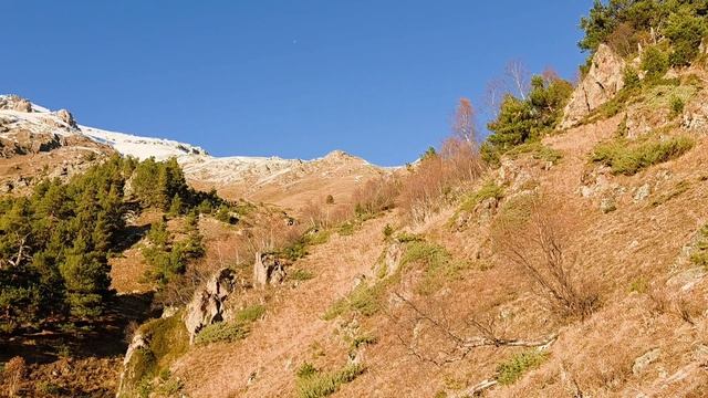 Челлендж "Пройти в Архызе 100км с набором 5000м за 6 дней"
День третий 2 ноября 2025г. смотреть онлайн