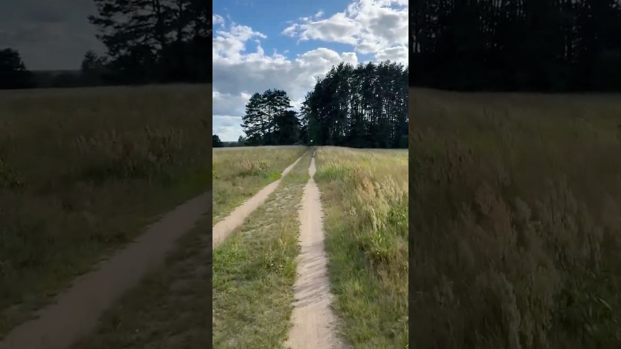 Заповедник Лохин Остров на велосипеде