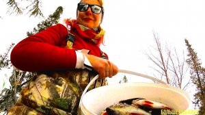 ПРИКЛЮЧЕНИЯ ВПЕРЕДИ. Начинается сезон 2026. #ИИ