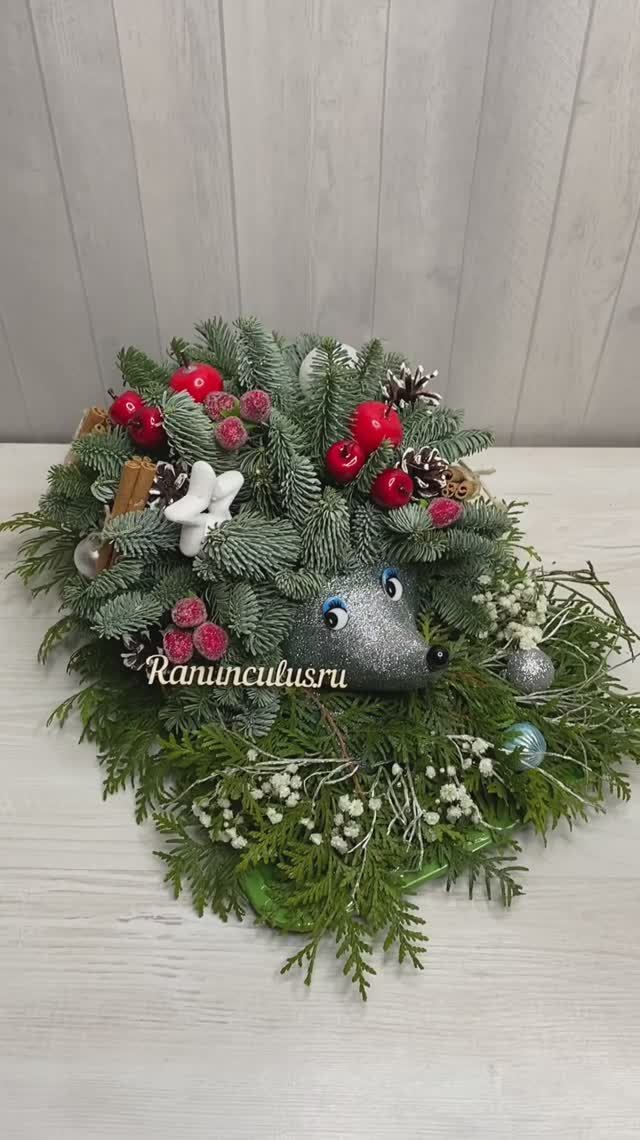 Ежик из лапника нобилиса смотреть онлайн