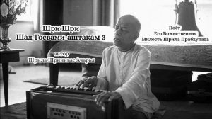 Шри Шри Шад-Госвами-аштакам 3 - автор Шрила Шринивас Ачарья - Шрила Прабхупада
