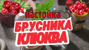 БруКля - крепкая настойки брусники с клюквой
