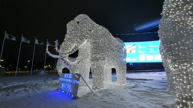 Белые слоны 02 01 2026