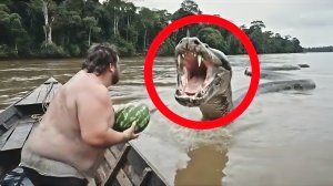 Встреча с гигантской анакондой в водах Амазонки