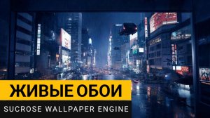 Живые обои с открытым кодом | Sucrose Wallpaper Engine