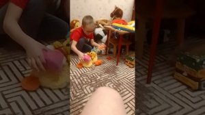 театр зверей