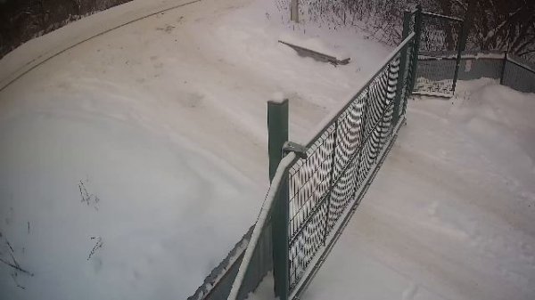 LIVE: channel74055310