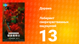 Лабиринт сверхчувственных ощущений 13 серия