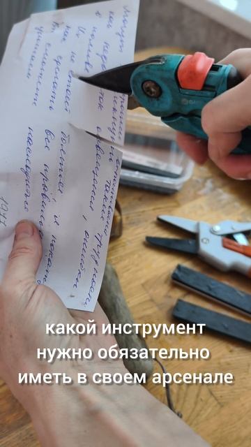 Что должен сделать каждый садовод в январе. смотреть онлайн