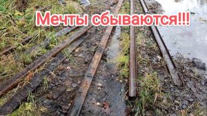 Когда то я только мечтал найти их в таком количестве!!!