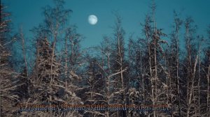 РеКлика на Полнолуние января 2026 года