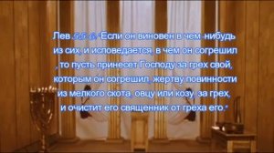 5 Левит пятая глава