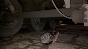 В круизе по доставке) Работа с экспедитором!)