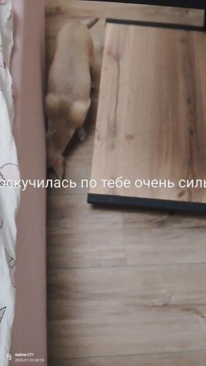 мы скучаем гаф не пропадай 😭😭😭😭😭😭😭😭😭