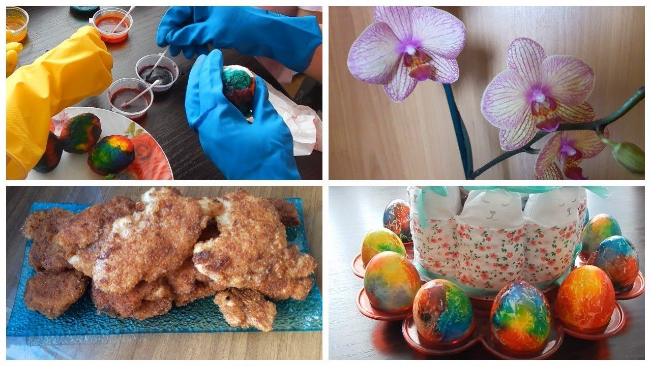 Vlog. Пересадка орхидей/ Наггетсы/ Красим яйца/ Неудачные дубли смотреть онлайн