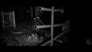 НЕ ДЫШИ! Страшные истории на ночь 🫣🫣🫣