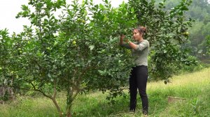 Мама поневоле. Дуонг. Собираю лаймы для подажи. Покупаю йогурт дочери. Забота о животных. Серия 25