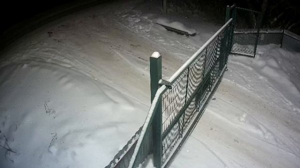 LIVE: channel74055310