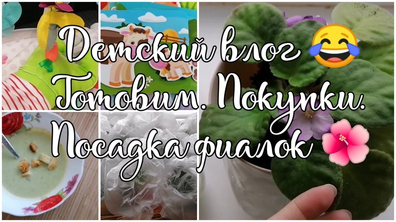 Vlog. Быстрые и вкусные рецепты. Покупки. ️Мои фиалочки. смотреть онлайн