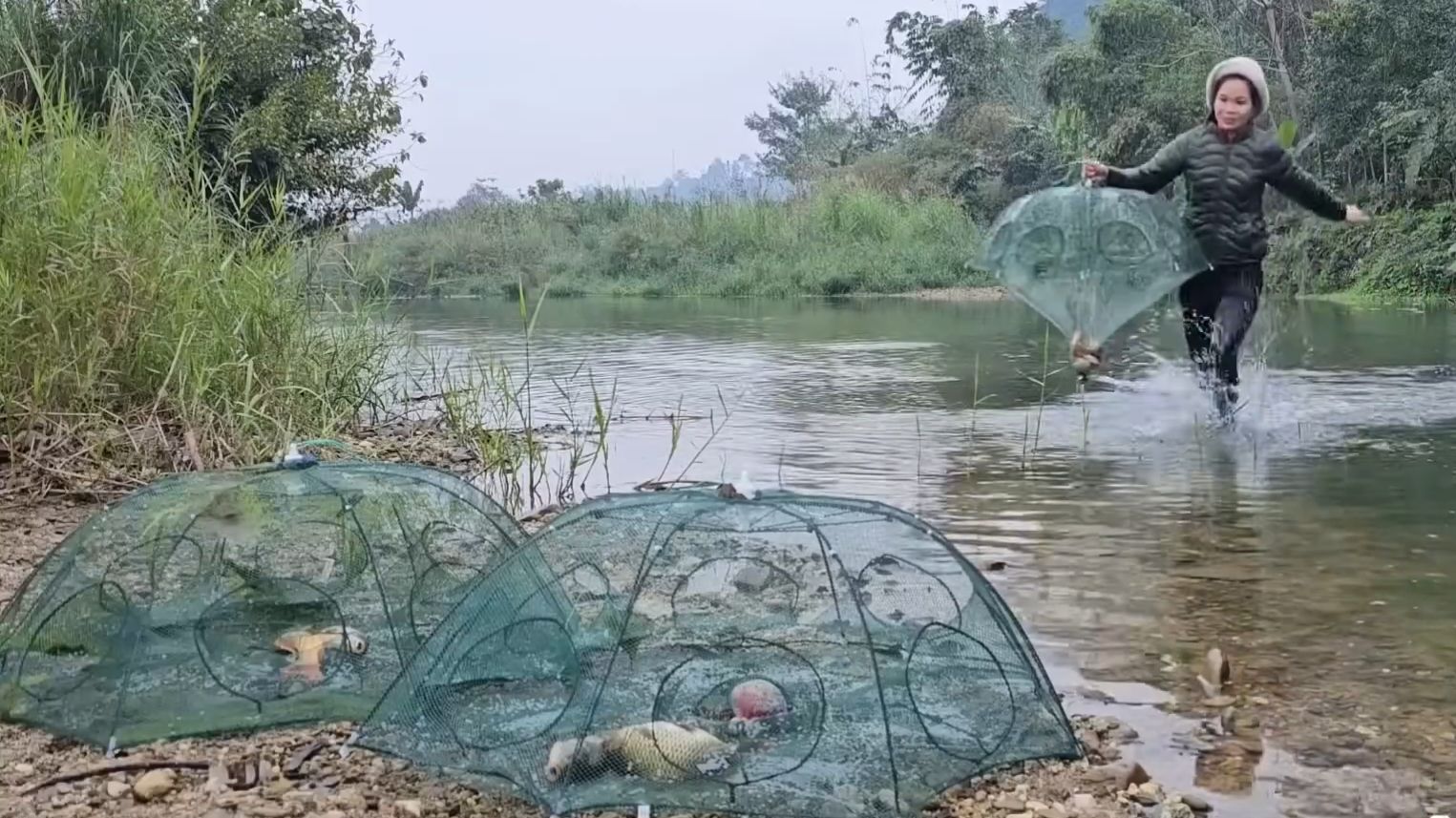 Девушка рыбачит традиционным способом. Ловит много крупной рыбы в ручье. Вьетнам смотреть онлайн