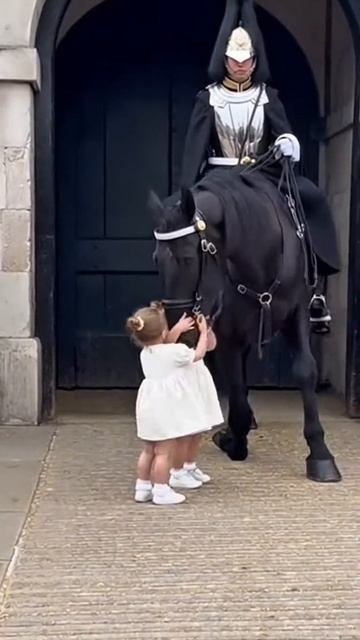 😁Дети и Королевская лошадь😁 смотреть онлайн