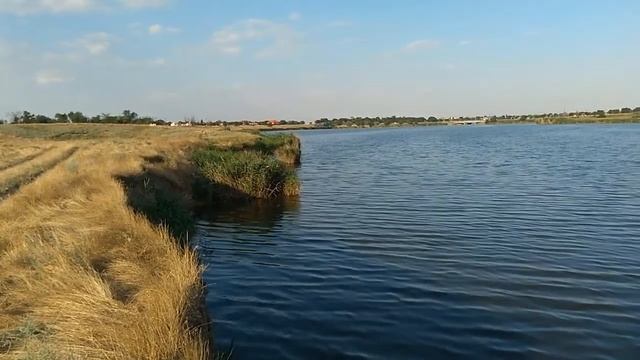 Сальск Плодопитомник смотреть онлайн