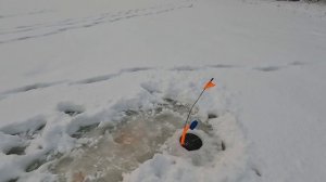 В этом озере только мелкие щуки🐠🐋🐟