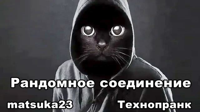 РАНДОМНОЕ СОЕДИНЕНИЕ Технопранк от Matsuka23 смотреть онлайн