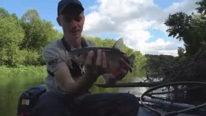 ЗАБРАЛСЯ В НЕИЗВЕДАННЫЕ МЕСТА И НАКОРМИЛ ЛЕСНОГО ЗВЕРЯ! Рыбалка на спиннинг сплавом по лесной реке.