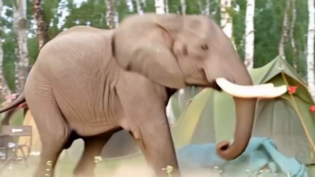 1000115919.mp4 смотреть онлайн