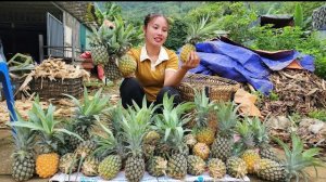 Собираю урожай ананасов и несу его на рынок для продажи. Несчастный случай с собакой. Жизнь Дуонг