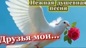 Душевная, трогательная песня - Друзья мои...