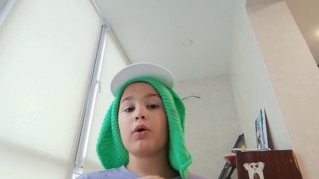 Финдус и Петсон. Механический дед мороз. Глава 2 (Перезалив)