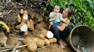 Мама поневоле. Дуонг. Собираю большие клубни таро. Торгую на рынке и готовлю корм животным. Серия 26
