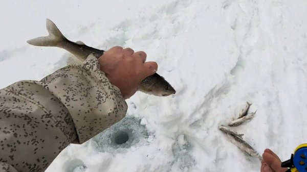 Яркие кадры 2025 года