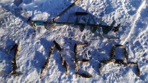 ЗИМНЯЯ РЫБАЛКА Монстрики поклевывают