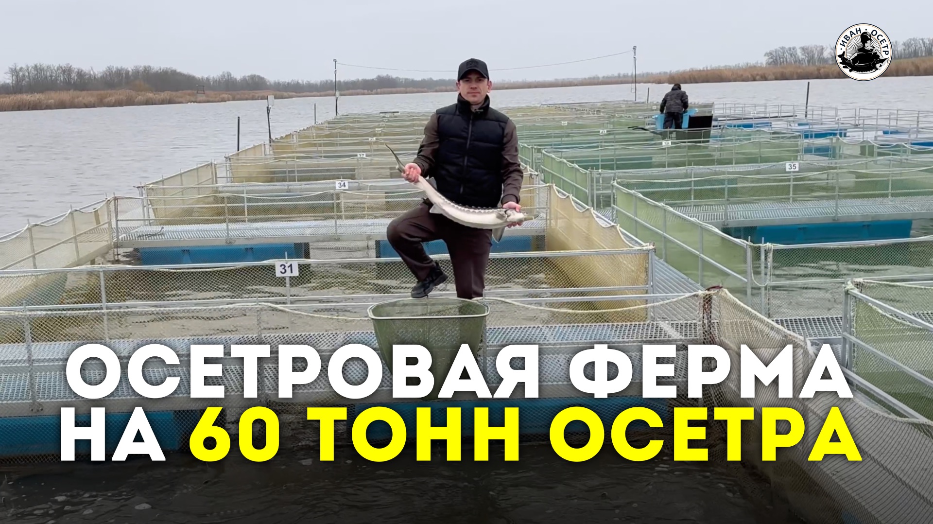 Осетровая ферма на 60 тонн осетра. Проект компании «Иван Осетр» смотреть онлайн