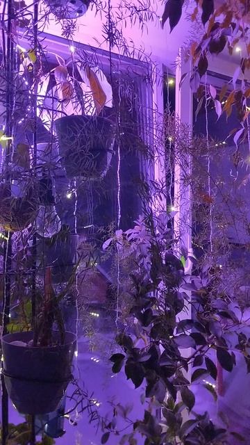 За день до Нового года в деревне смотреть онлайн