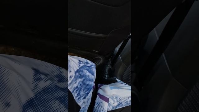 Моя крутая жизнь